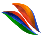 Decorative icon